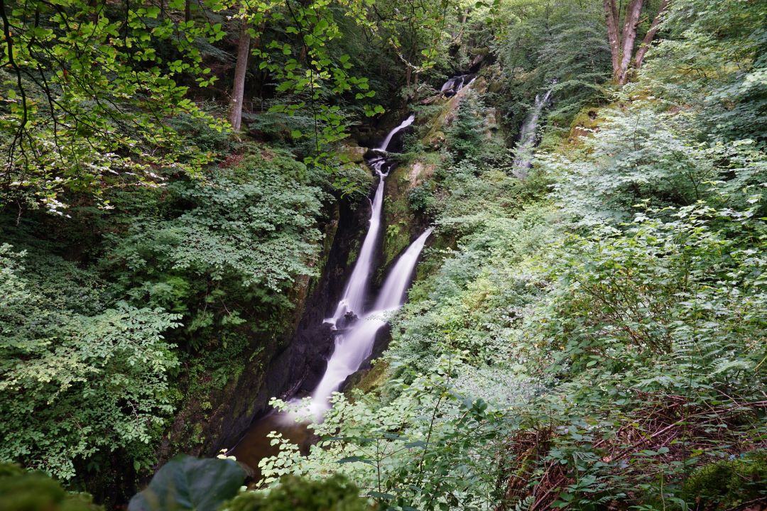 Stock Ghyll Force waterfall in Ambleside.